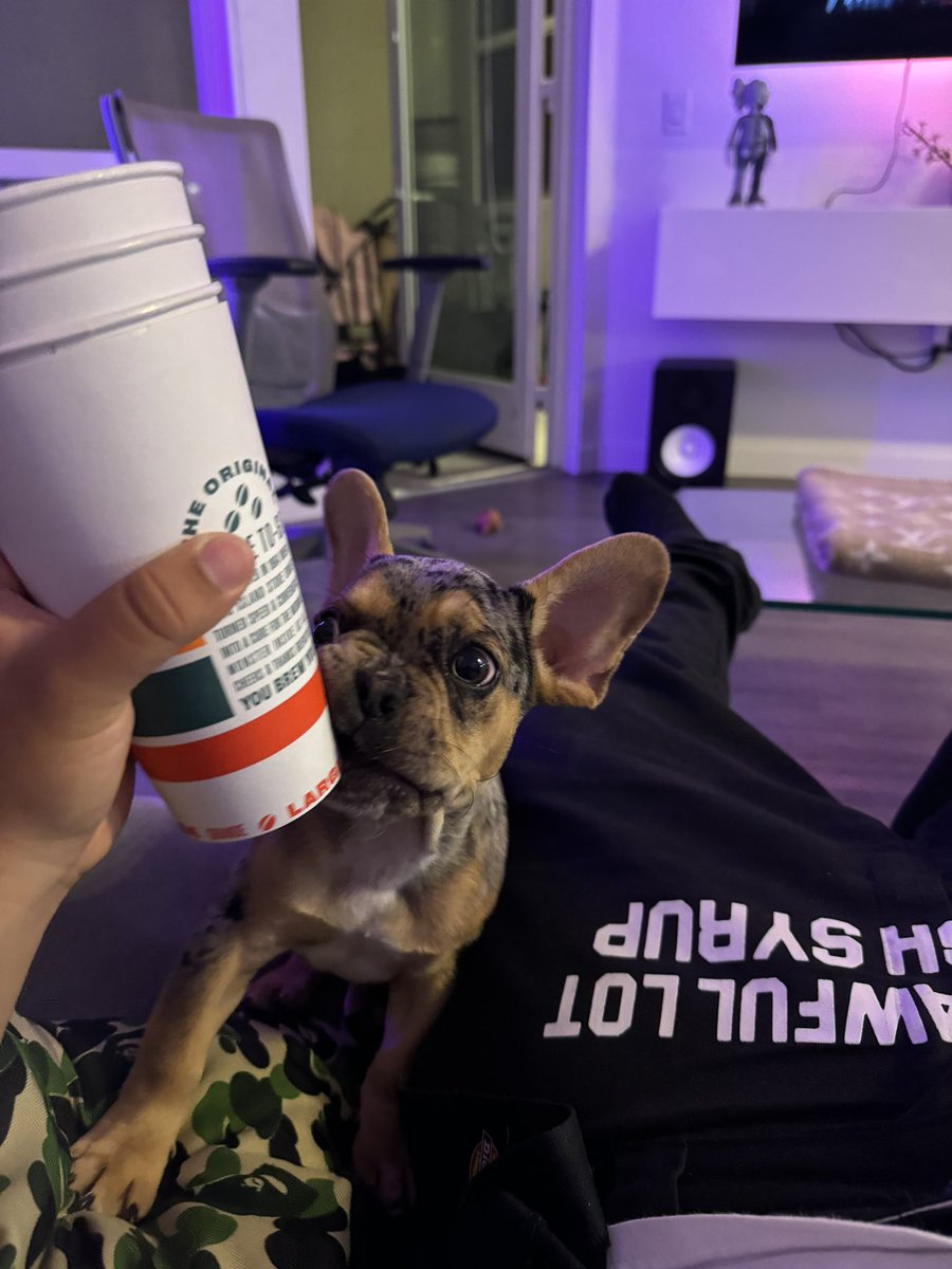 DoubleCupChino tweet media