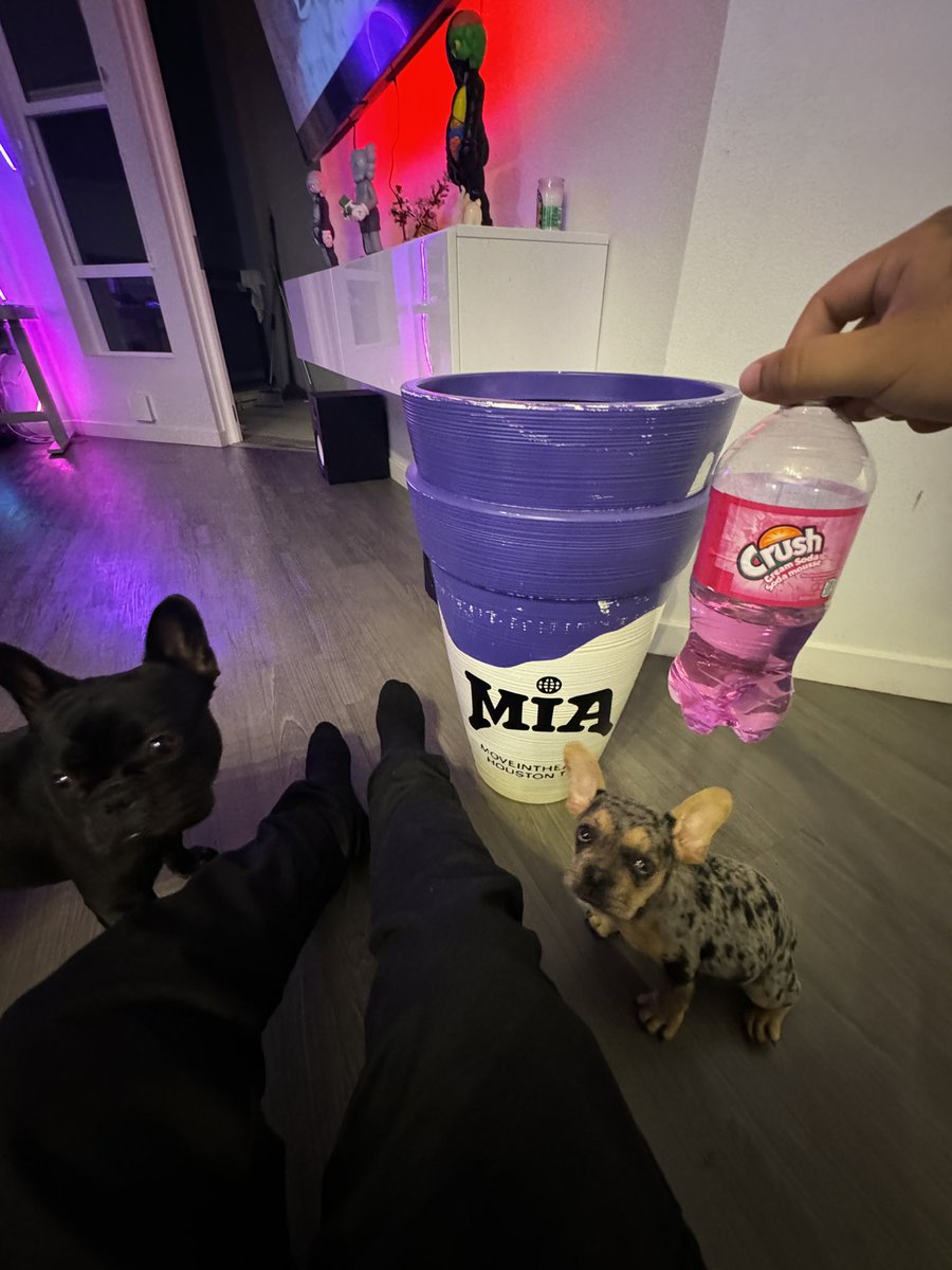 DoubleCupChino tweet media