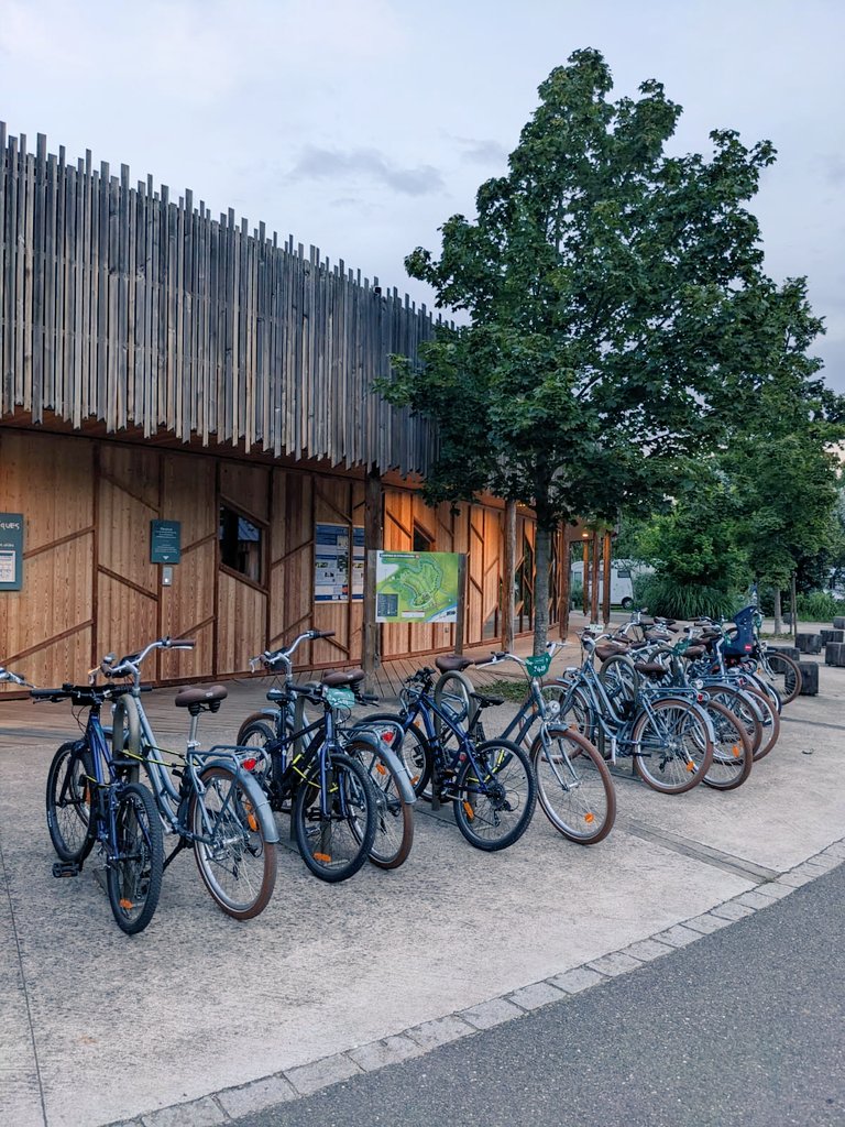 campervanfamfun's tweet photo. Camping de Strasbourg..a perfect place to stay to visit the city! 10 minute easy cycle ride. Plus a swimming pool to relax by with a book set in Strasbourg -The Dance Tree. 📚😎
#ReadTourExplore #inspiringadventures @Media_CAMC #literarytravels @candmclub @CW_Guild @AlanRogers https://t.co/BJHK54M8Jj