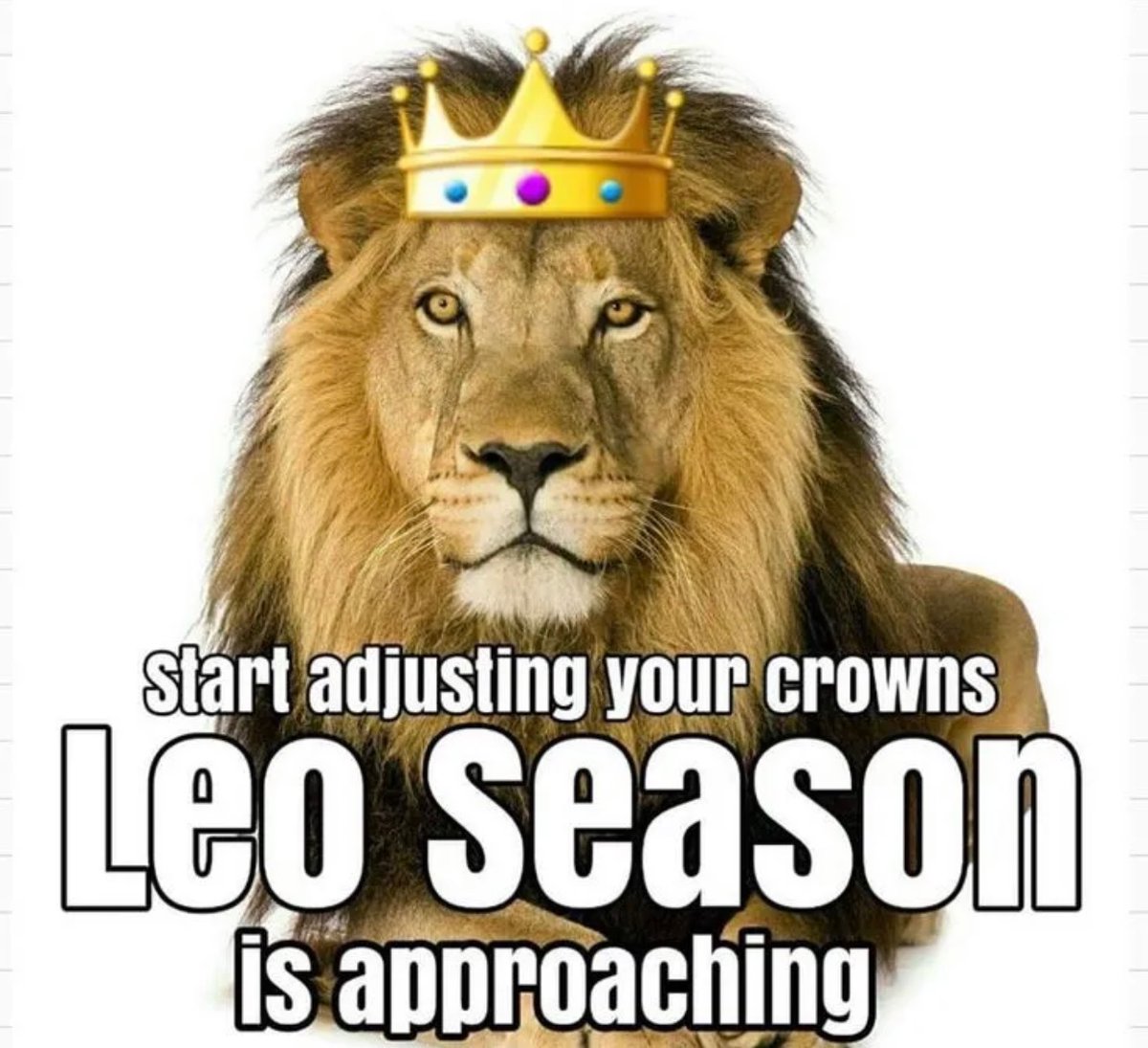 TrueLeoFacts's tweet photo. *clears throat* 🗣🗣🗣 #Leo #LeoSeason https://t.co/uk6Gu7SjQ7