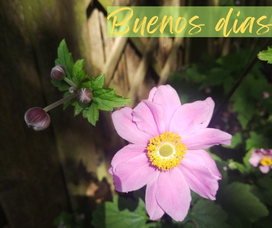 lisbethxr's tweet photo. Feliz día https://t.co/1shyvcPAnA
