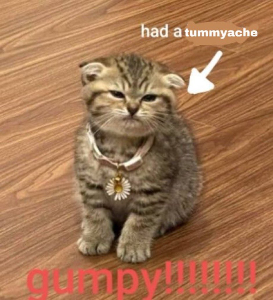 ♛ ; 𝓜𝔦𝔮𝔲𝔢𝔩𝔩𝔞 𝓉𝒽ℯ 𝓚𝔦𝔫𝔡 . (@kindempyrean) on Twitter photo 