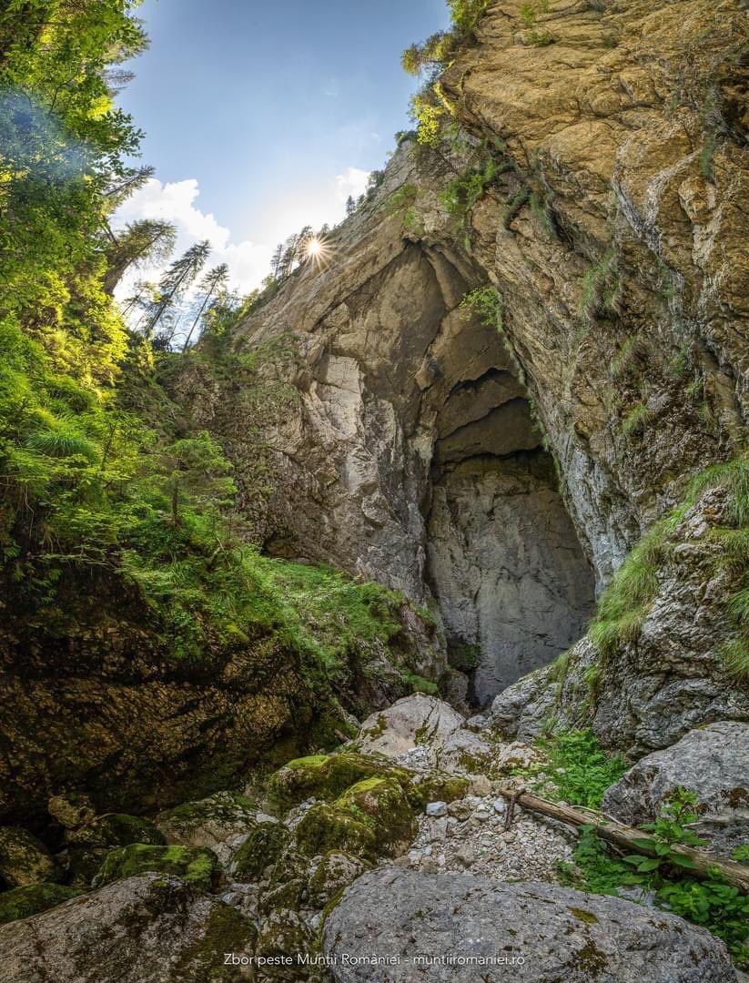Ana_C_Tudor's tweet photo. A great remedy for a hot summer day? 🥵☀️Explore the amazing caves reaching into the heart of the #Apuseni Mountains ⛰️. #RomaniaIsBeautiful 🇷🇴 📸 Dragos Asaftei https://t.co/soaZotmgek