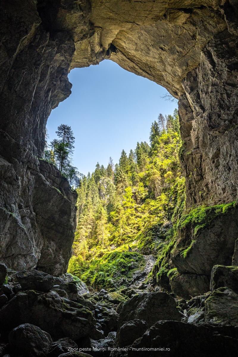 Ana_C_Tudor's tweet photo. A great remedy for a hot summer day? 🥵☀️Explore the amazing caves reaching into the heart of the #Apuseni Mountains ⛰️. #RomaniaIsBeautiful 🇷🇴 📸 Dragos Asaftei https://t.co/soaZotmgek