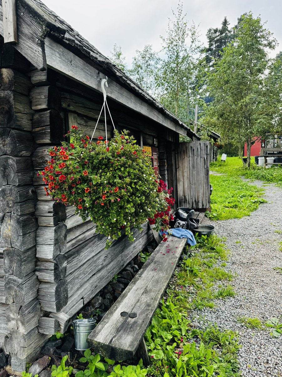 ValkeapaaS's tweet photo. Suomalaisen perinnesaunan tunnelma rauhoittaa mieltä ja kehoa. Jämsän Juokslahdessa voi hemmotella itseään pehmeissä löylyissä joka lauantai. Eilen oli 12 saunan löylyt hemmottelemassa meitä.💛 #savusauna #saunakylä #saunakyläjämsä #visitjämsä #jämsä #himos #himosjämsä  #finland https://t.co/0UlMgfSLgQ