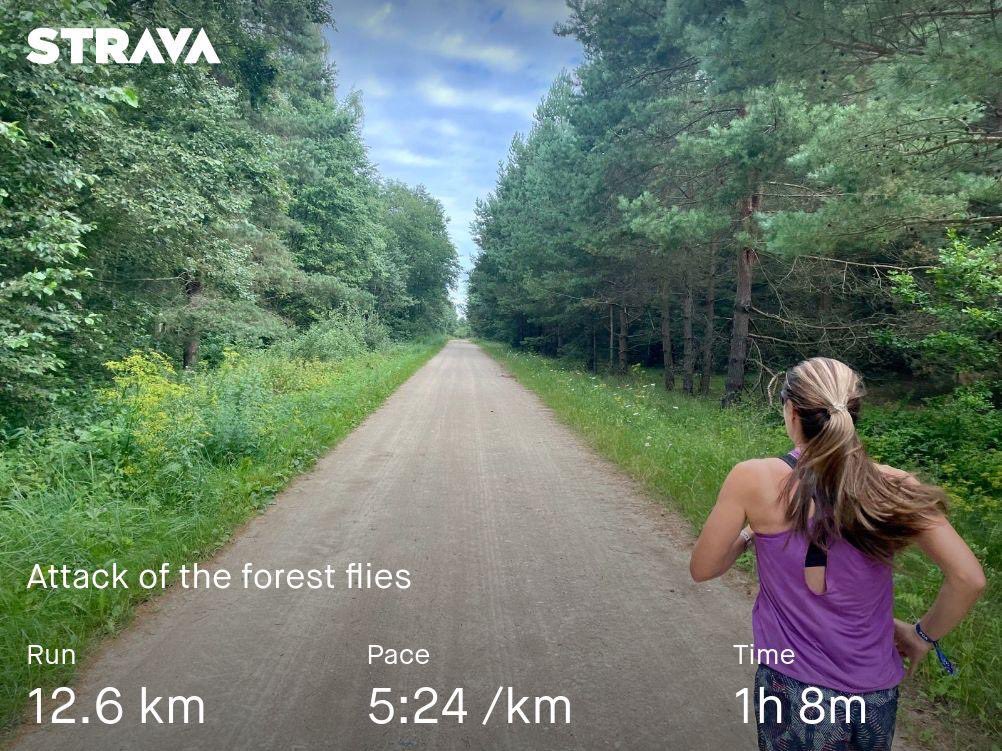 Marcel Fahle tweet media