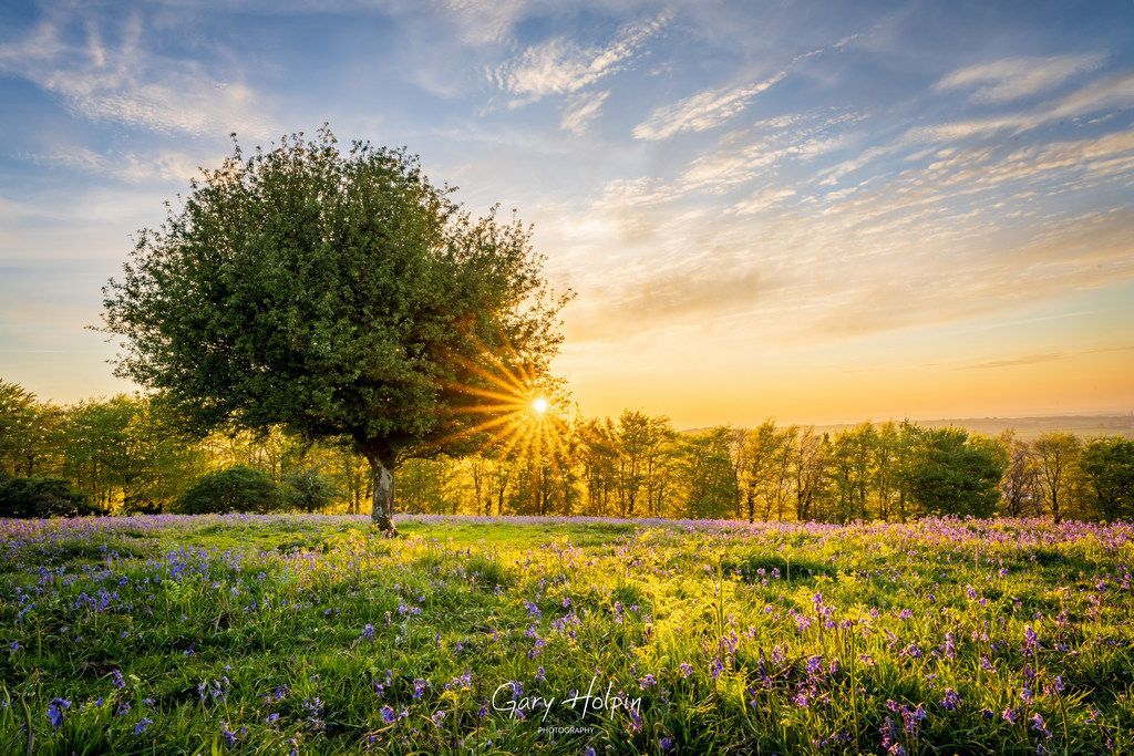 GaryHolpin's tweet photo. Morning! π It's time to vote the #SundayVote!!! Which is YOUR winner???
I *think* number 2 will win - do you agreeβ
1. (TL)
2. (TR)
3. (BL)
or 4. (BR)
If you enjoy my work, please show your support with a Repost! β€οΈ
#dailyphoto #dailyphotos #sundayfunday https://t.co/FeyBEZcXb8