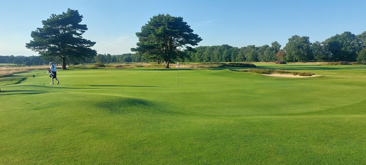 Elliottcooper12's tweet photo. Back from a couple of days at the @golfpairs at @waltonheath_gc 
Incredible couple of days on a spectacular 36 holes. Met some great people and played some decent golf. https://t.co/J8h7ZKJUag