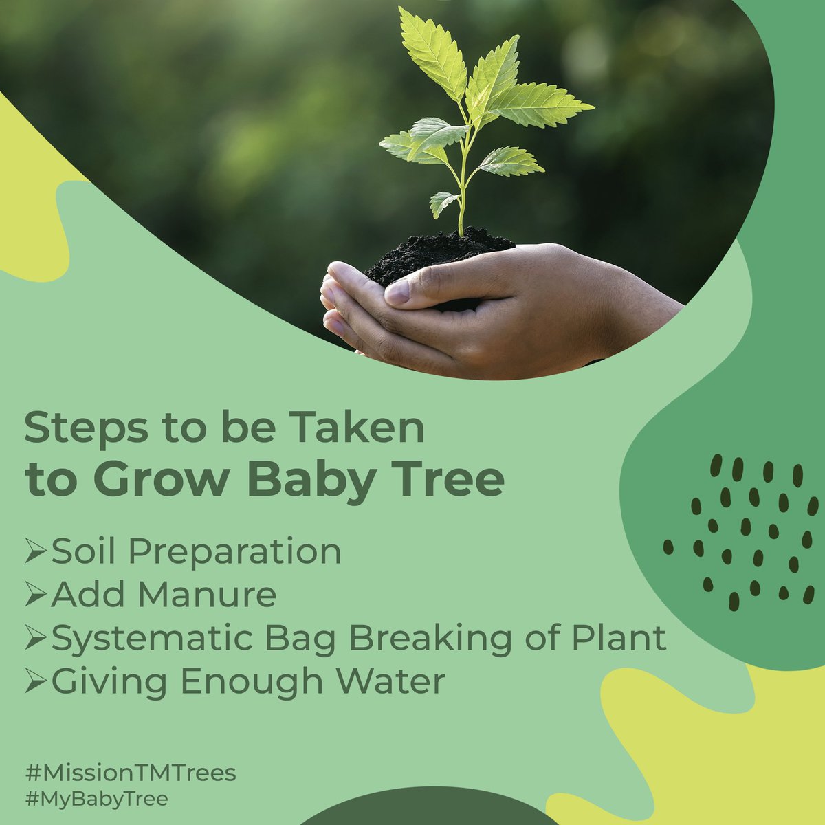 aditiraval's tweet image. ઝાડ વાવતાં પહેલાં જાણવાં જેવી બાબતો.. 
#MissionTMTrees #myBabyTree