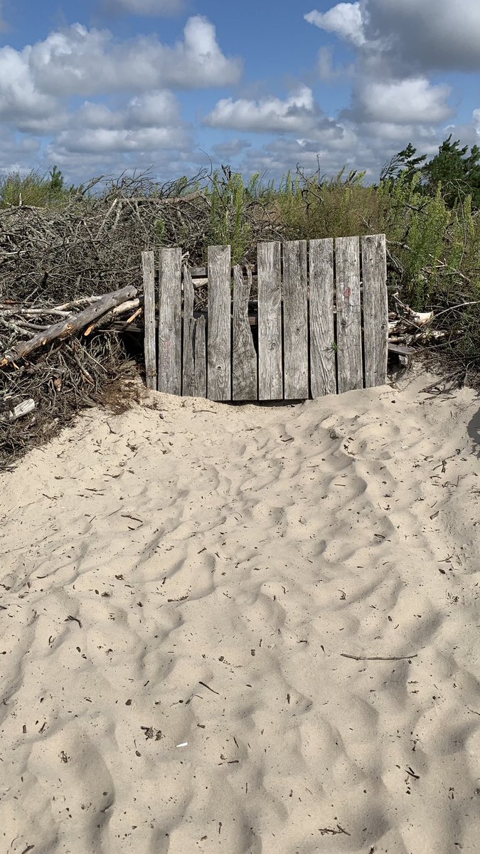 belak_mark's tweet photo. Lithuania, Klaipeda, Smiltynė Men Beach. https://t.co/wVdFJyD2zx
