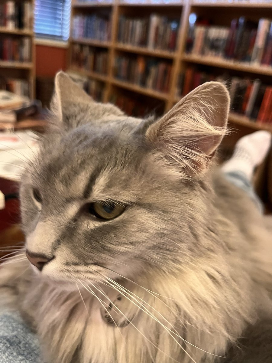 OiMonkeyChops's tweet photo. #TimelineClean #HappySunday #GoodLife Hanging in the library with my bestieโฆ https://t.co/VloYrQbN7i