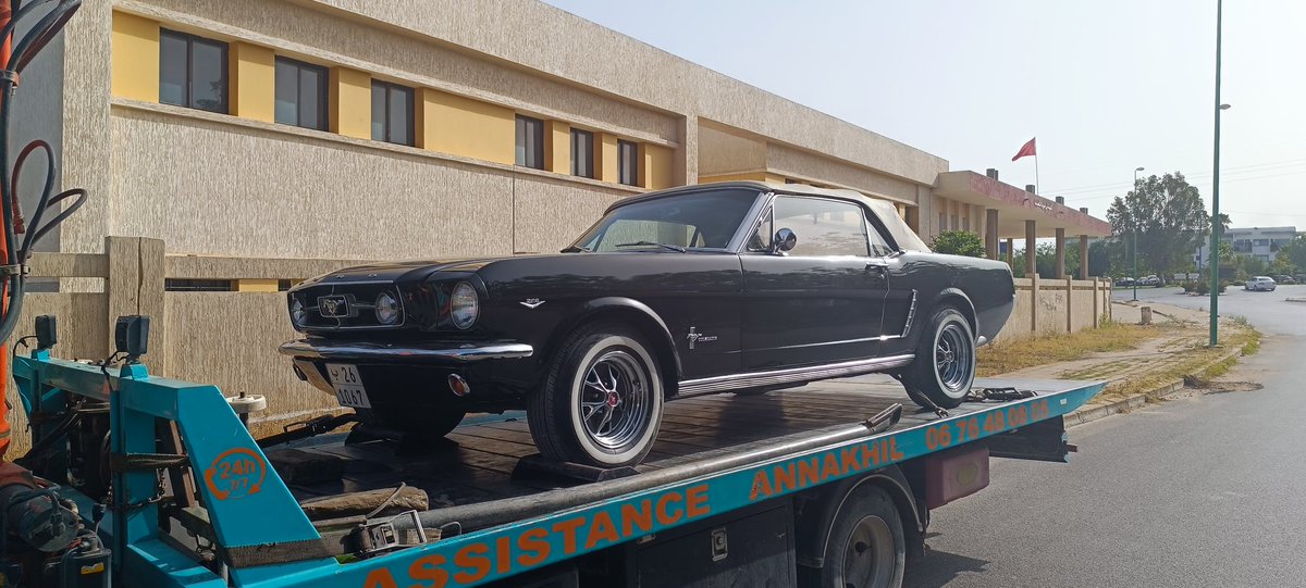 #Homodigitalis tweet media