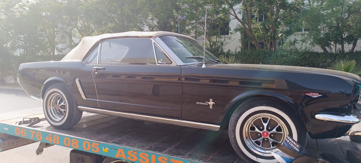 #Homodigitalis tweet media