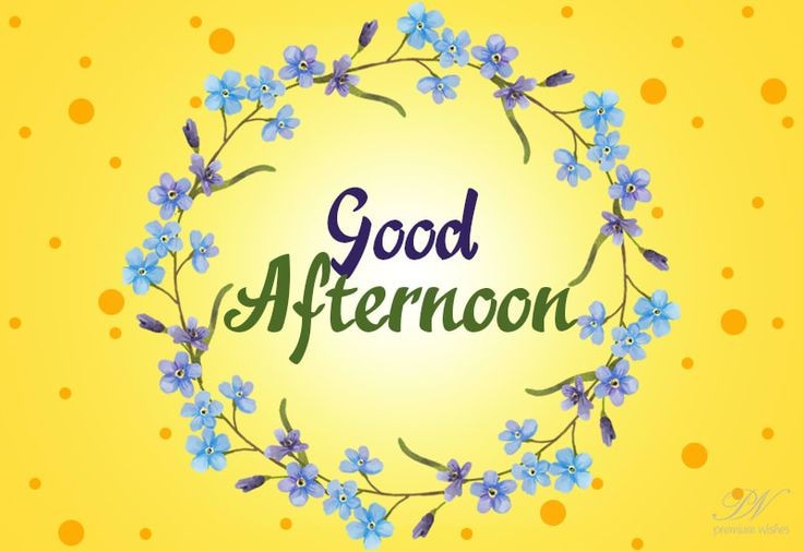 Ritu_i0's tweet photo. Good Afternoon Everyone 💕💕

Wishing you a fantastic afternoon💞 https://t.co/SAswcBNT7m