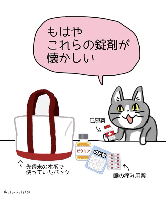 本番があった先週末に使っていたバッグを整理していると、どれだけ体調不良にびびっていたのかがよくわかる。今は見向きもされない薬達。 