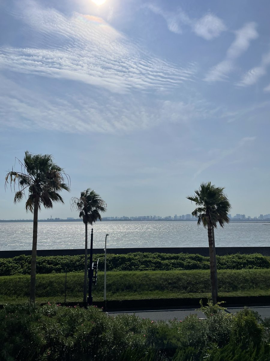 futurenoiselab's tweet photo. 🌞 https://t.co/o8sHLfFUkH