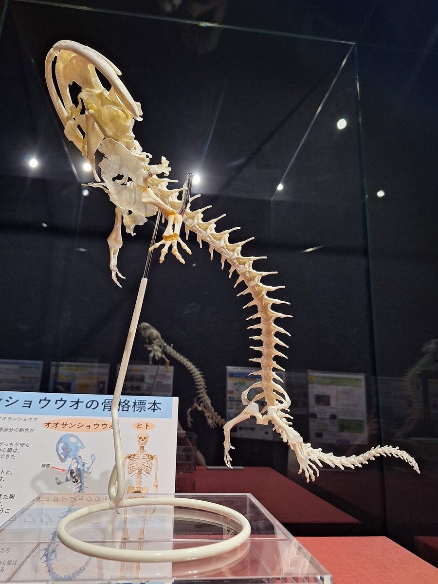 GS_p8zCbIAMJ_02.jpg?format=jpg