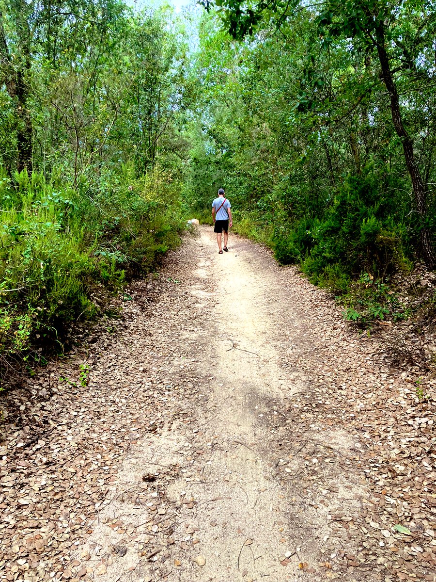 Definició visual de: La Selva (comarca). 💚