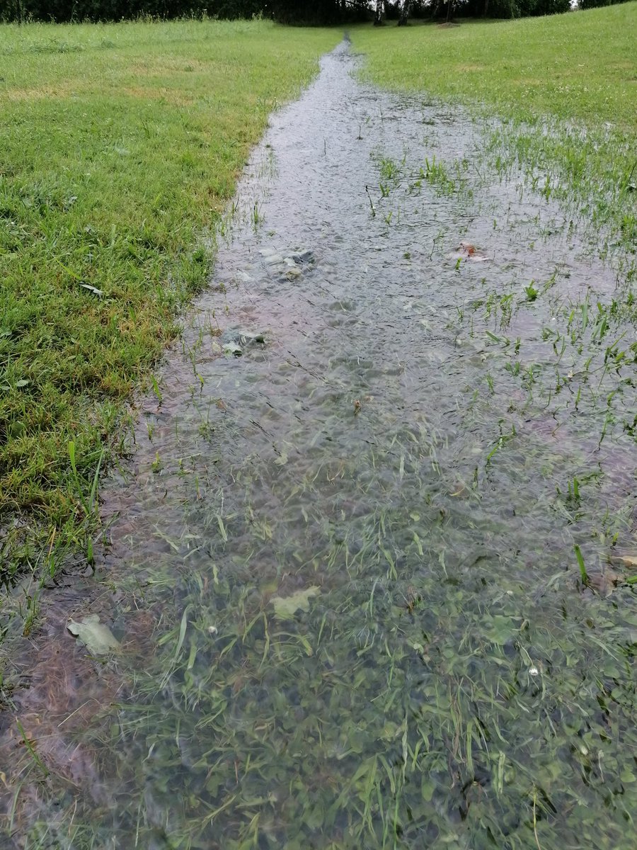 Alansport52's tweet photo. #lachainemeteo #Allier #Chazemais Depuis hier 20-06-2024 18h jusqu'à ce matin 9h il est tombé 73mm de pluie https://t.co/Os9UcGjoCO