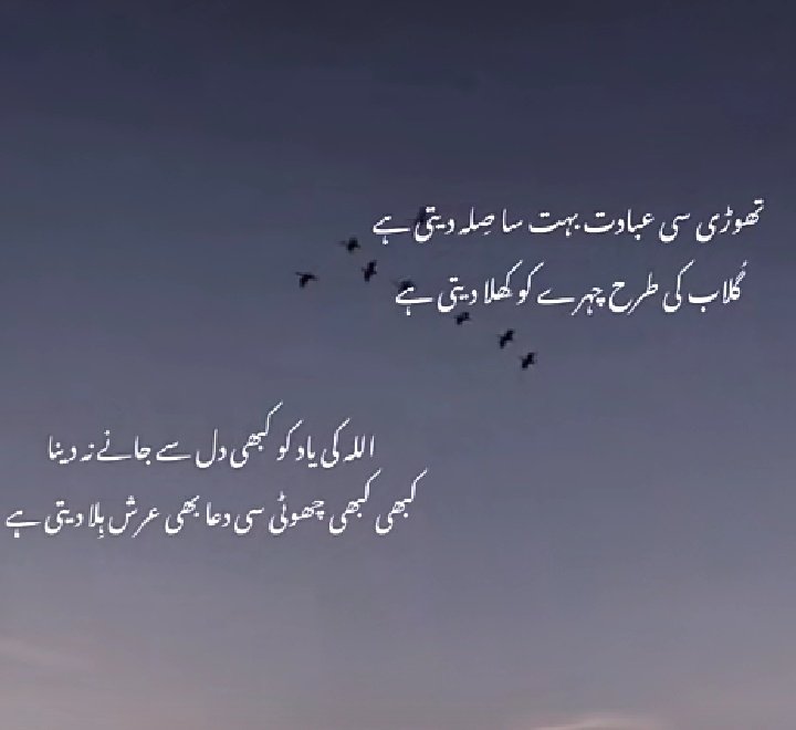 Malaika_Daud's tweet photo. کبھی کبھی چھوٹی سی دعا بھی عرش ہلا دیتی ہے 💓🦋🌹 https://t.co/e5076VU4VM
