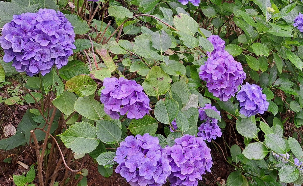 monzen0405 tweet picture