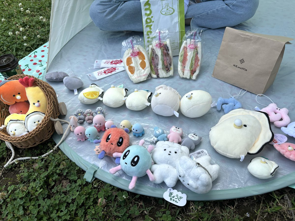 キラキラの仲間たちとピクニック✨
#つぶらな瞳 #つぶ活 #ぬいぐるみ #ぬい活
youtu.be/lsHP0P9lli4?si…