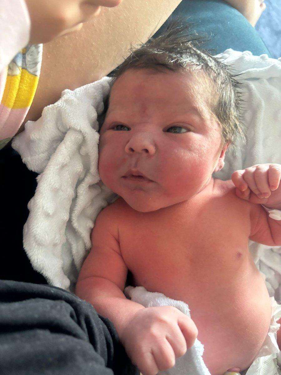 petero231's tweet photo. All let me introduce you to the newest member of the team!
Oakley 🩵 born 20/07/24 at 23:03 8ib 8oz
#familycomplete https://t.co/sgHc0yG9hB