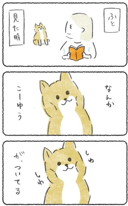 シワ... 