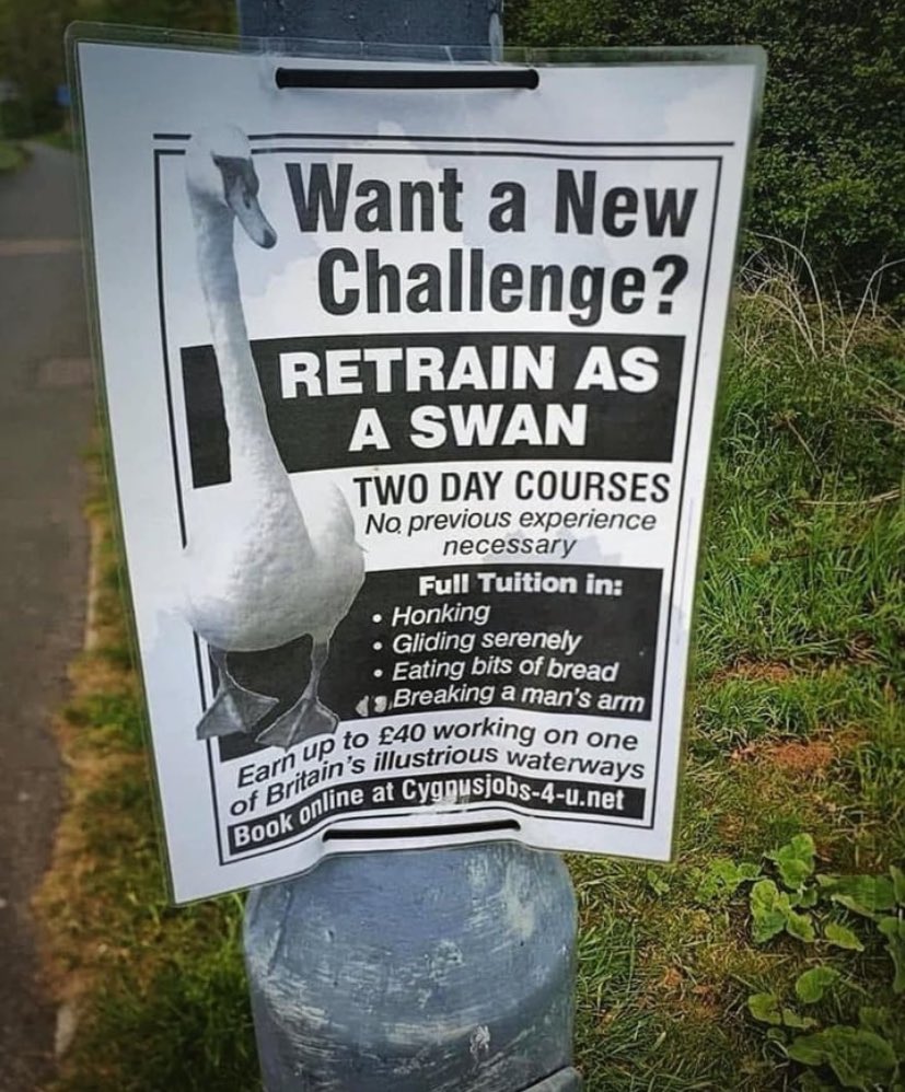 No Context Brits tweet media