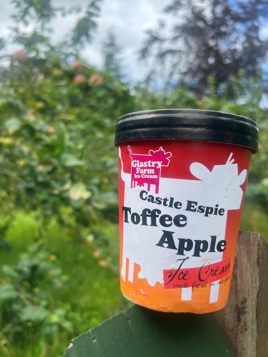 WWTCastleEspie's tweet photo. Did you know we sell our very own Castle Espie toffee apple ice cream using apples grown in our orchard? 🍏🍦
The perfect treat on a Summer's day!
#NationalIceCreamDay #Tastelocal #Glastryfarm #DiscoverNI https://t.co/Kp2h9I70Oa