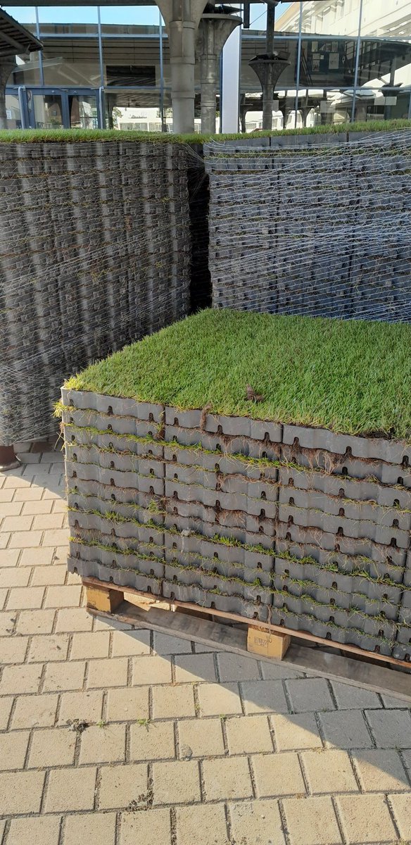 ClgWallon95's tweet photo. J12 : pas de prise de vue d'ensemble pour laisser la surprise mais un nouvel indice de ce que sera la nouvelle cour. Moins de béton, plus de chlorophylle. https://t.co/UsJBJ2mWA4