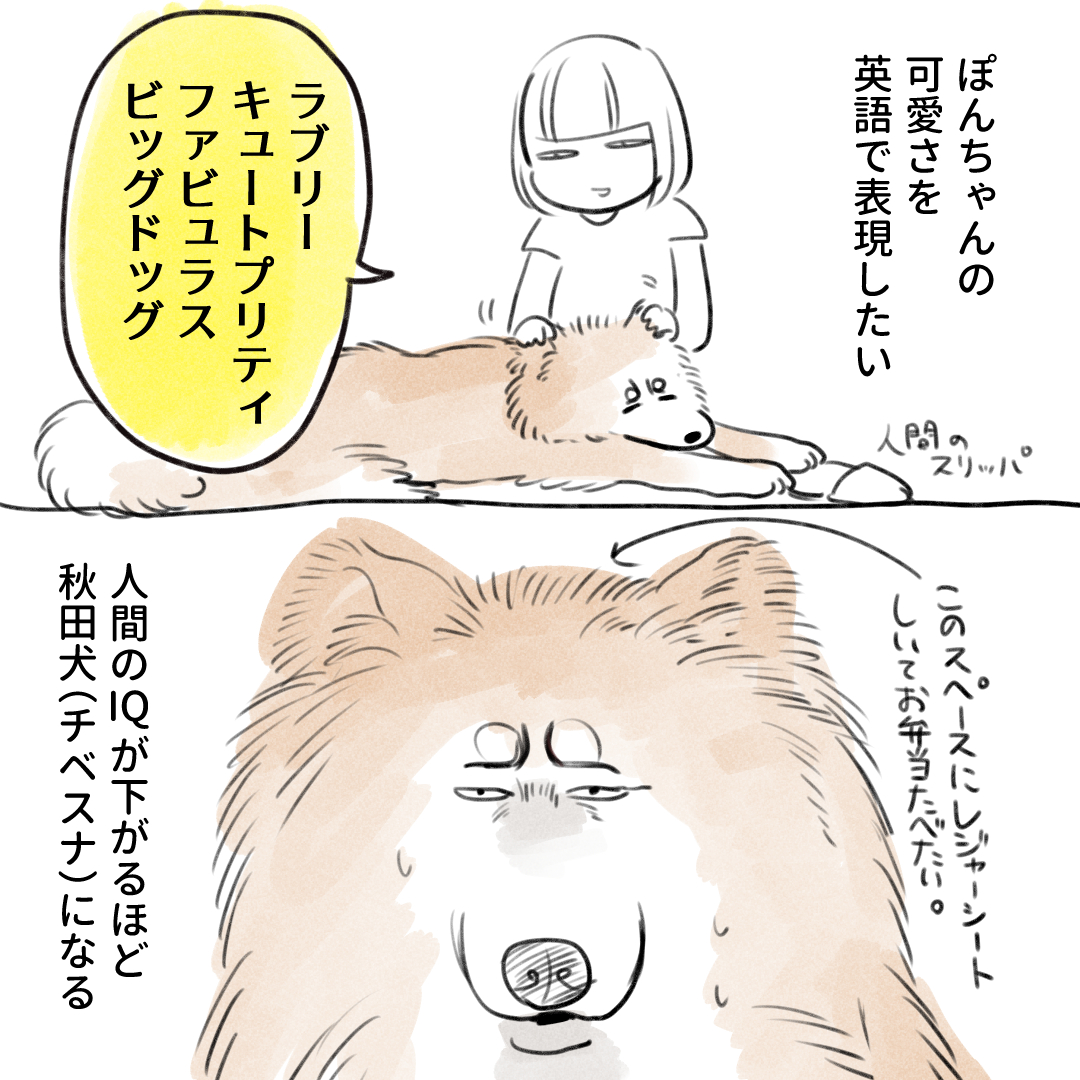 最近スリッパを無下にされます でもいいんです全然 