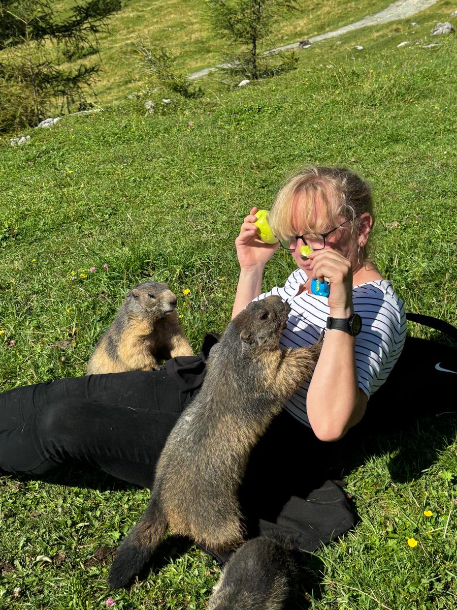 Ingrid_1801's tweet photo. Heute einen speziellen guten Morgen von der Bachlalm 😍❤️
#bachlalm #filzmoos #murmeltiere https://t.co/DDf5bcUyM2