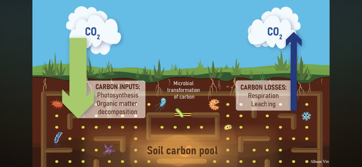 @caldergrowandgraze (@caldergrowgraze) on Twitter photo Save the date 28th September 2024 for Save Our Soil (SOS) day in #hebdenbridge when we will try to get message out to #Calderdale with <a href="/clutterbuckcha1/">Charlie Clutterbuck</a> Save the date 28th September 2024 for Save Our Soil (SOS) day in #hebdenbridge when we will try to get message out to #Calderdale with <a href="/clutterbuckcha1/">Charlie Clutterbuck</a>