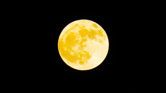 aura_358's tweet photo. 偶然、このツイートを見かけた方、幸運です🍀
何故なら今日は満月🌕
それは太陽、地球、月は一直線に並ぶ時。 
3つの星が並ぶことで宇宙のエネルギーが強くなります。
そして、あなたの『心の奥底に秘めた強い想い』の願いが叶いやすいといわれます。
その特別な日に、私からあなたの潜在意識に向けて、願いが叶うよう力を込めました🙏
ぜひ「🌕」で受け取ってください。 
コメントできる方は、ぜひあなたの願いを教えてください😌
さらに、RTで効果絶大。
たつきちをフォローすると、私との”ご縁”で運気が上昇するでしょう⤴️