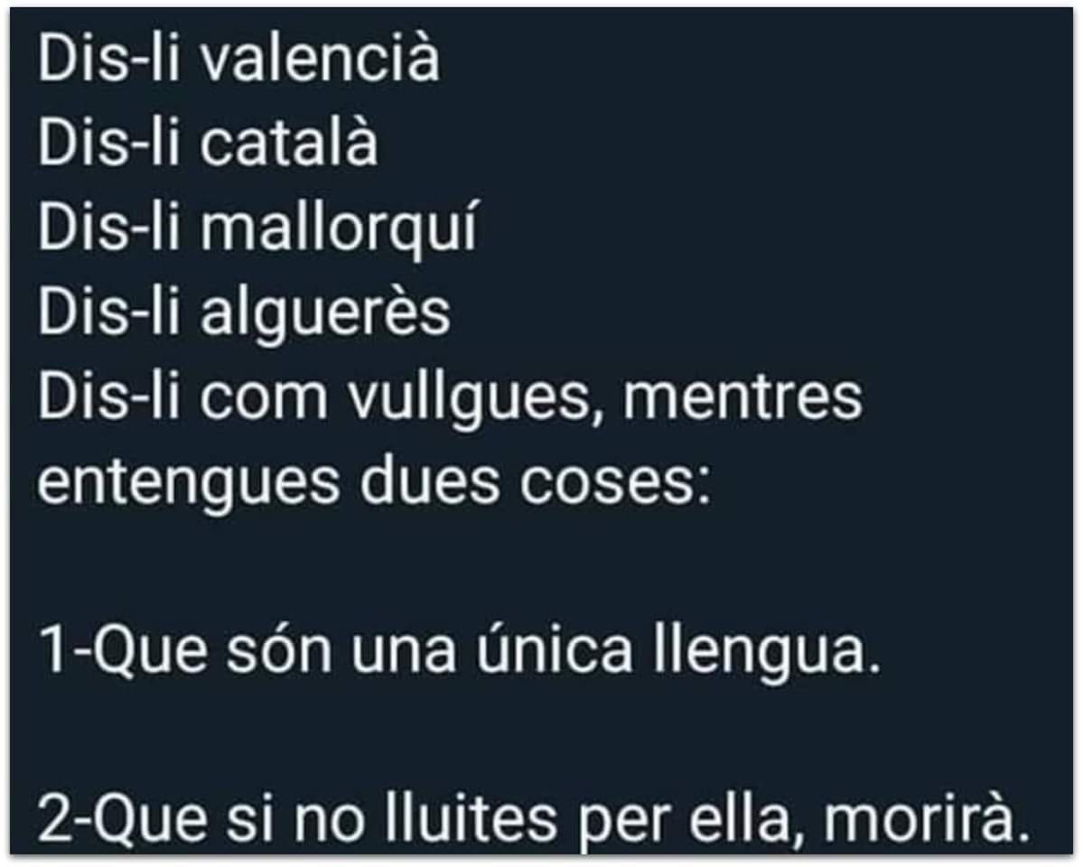 KATALANSERAI tweet media