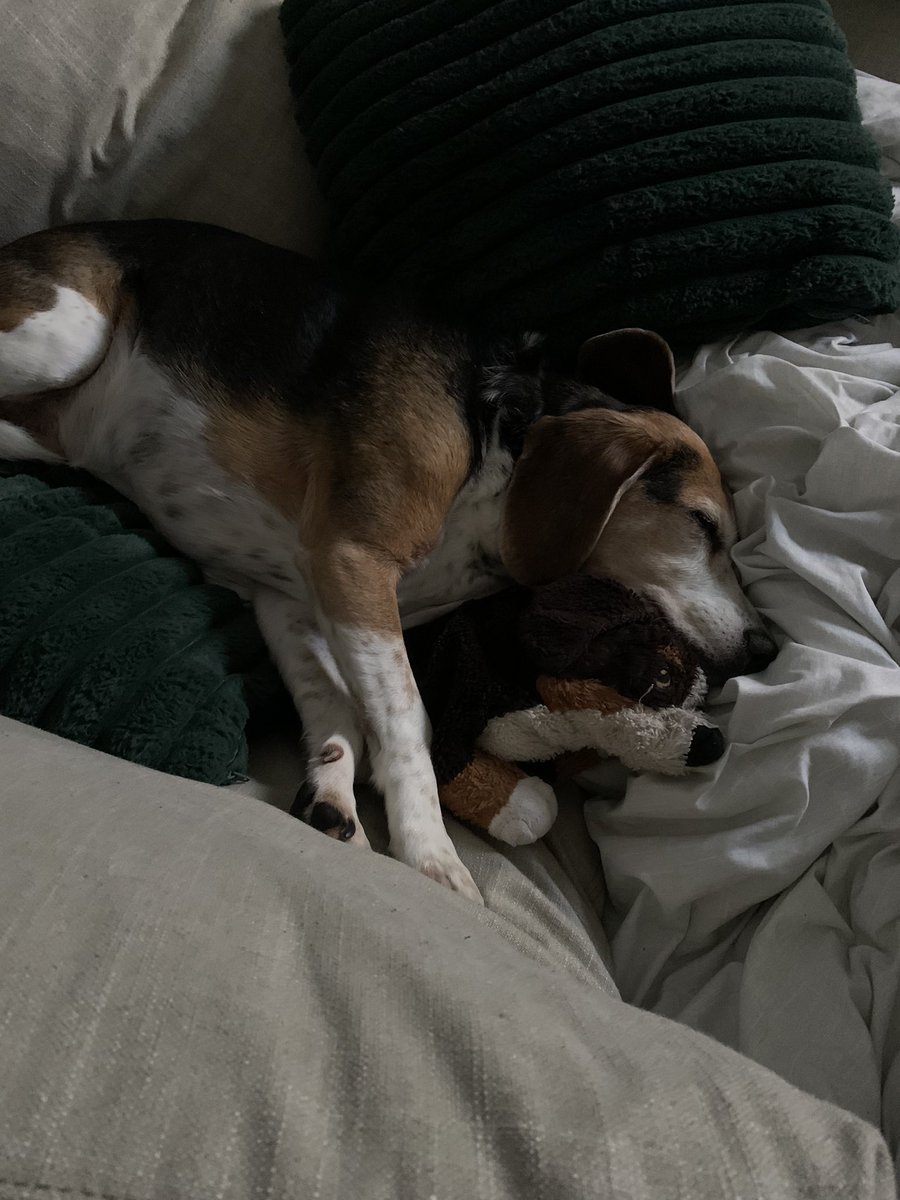 I was caught napping whilst cuddling my mini me.