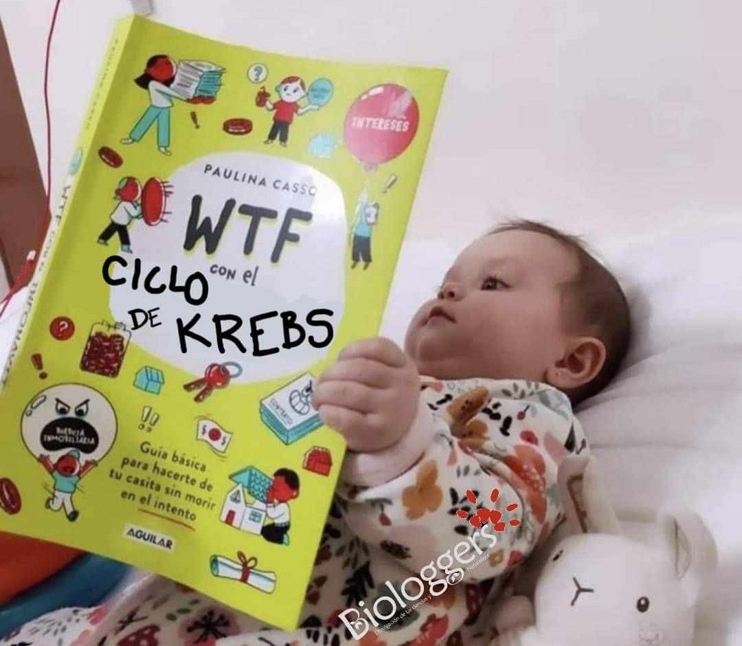 La edad adecuada pa empezar a estudiar esto