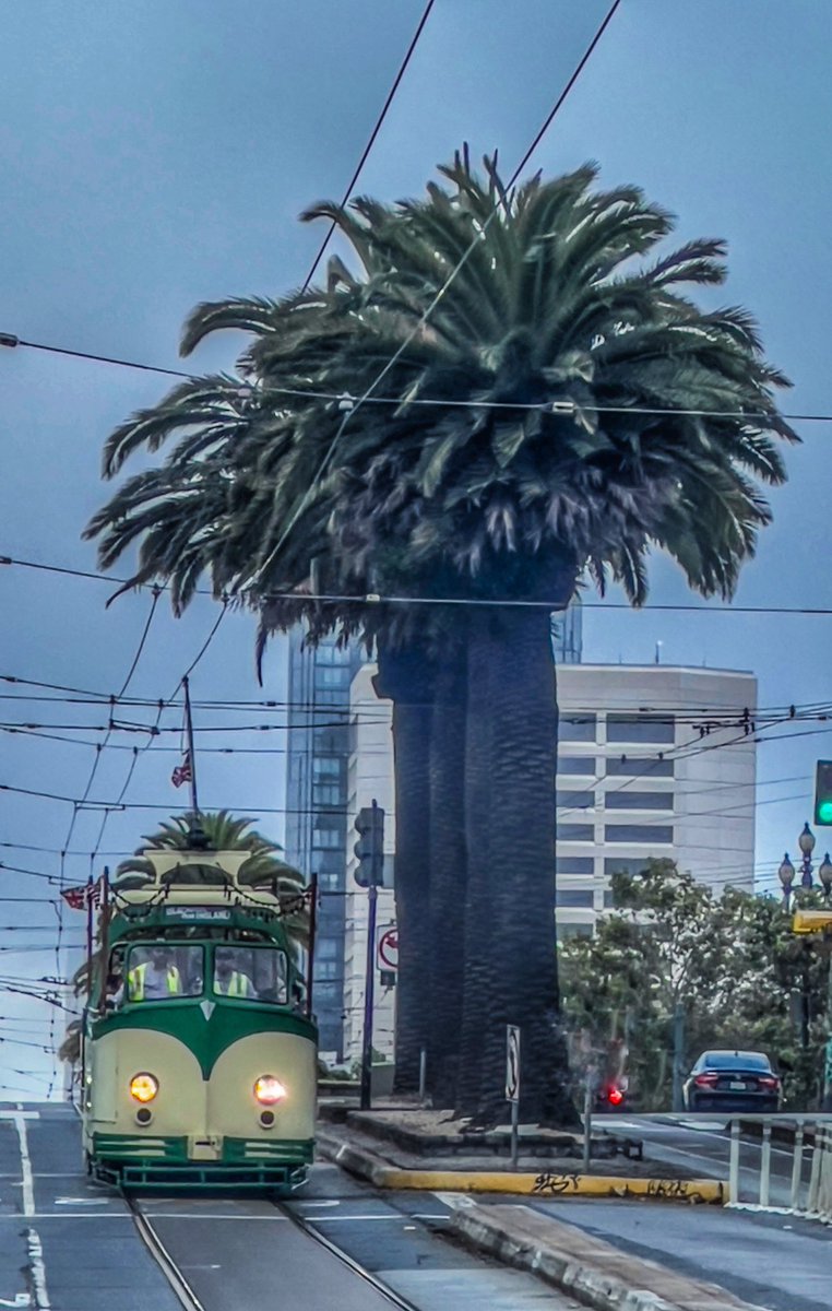 Scenes of SF MUNI (@talesoftherails) on Twitter photo <a href="/SFMTA_Muni/">SFMTA</a> <a href="/boattramsf/">The Boat Tram</a> is seen pulling in for the night. Another successful #vintagerailsummer day is in the books.
<a href="/SFCityGuides/">San Francisco City Guides</a> <a href="/onlyinsf/">Only in SF @ 🌁</a> #SanFrancisco <a href="/SFMTA_Muni/">SFMTA</a> <a href="/boattramsf/">The Boat Tram</a> is seen pulling in for the night. Another successful #vintagerailsummer day is in the books.
<a href="/SFCityGuides/">San Francisco City Guides</a> <a href="/onlyinsf/">Only in SF @ 🌁</a> #SanFrancisco