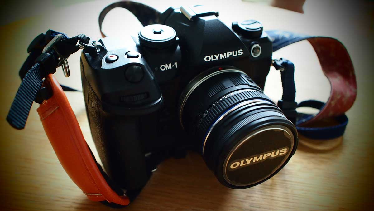 nob_tutty's tweet photo. OM-1を使って約1ヶ月
まだ全部の機能を使い切れてないけど
綺麗な写真は撮れるいい機体
でも、ちょっと大きいかな😁
1枚目はPEN-3で撮影
2枚目はOM-1で撮影
#OM1
#使用感想
#PEN3
#OLYMPUS
#多肉植物が生い茂る https://t.co/XJtignvDxR