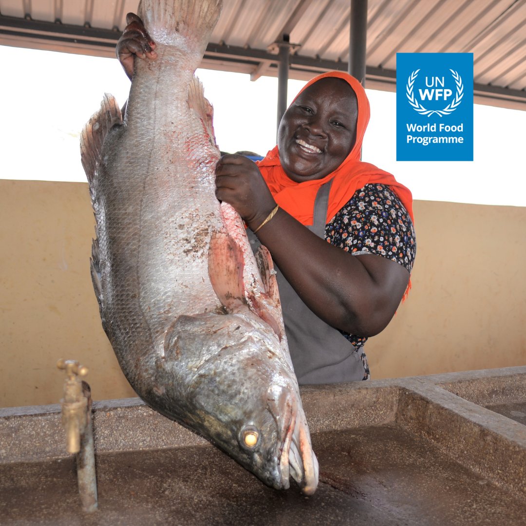 Tirkanda Fish Lake Turkana Fish