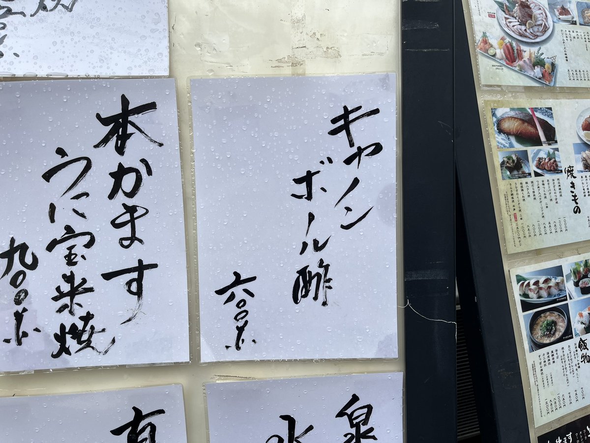 キャノンボール酢って何?キャノンボールの酢漬け? 