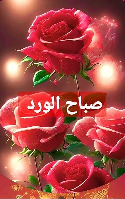 Alsovi1960's tweet photo. @maha8321553 https://t.co/hkSaJKLtMm