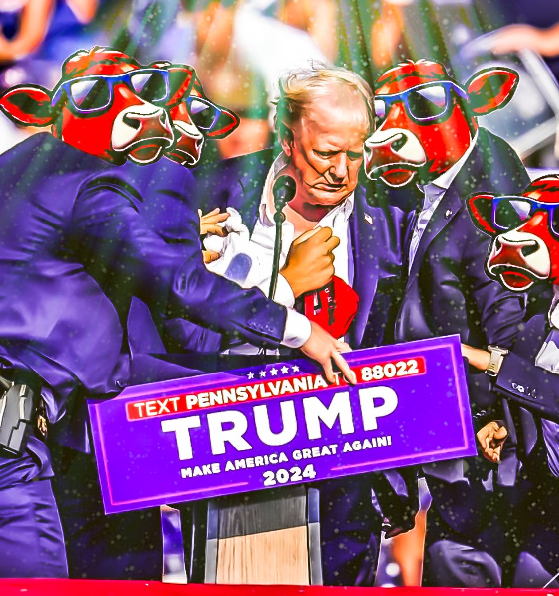 Red Heifer Coin tweet media