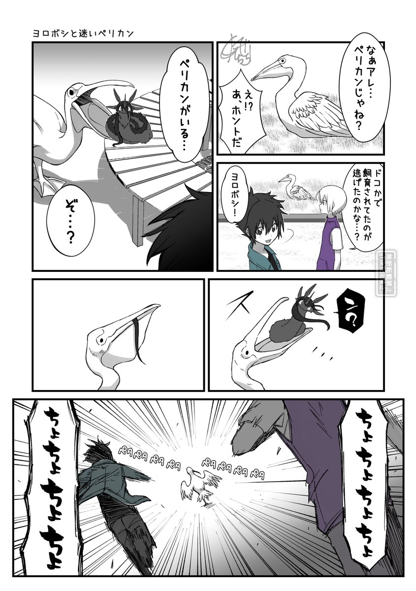 ヨロボシとペリカン 