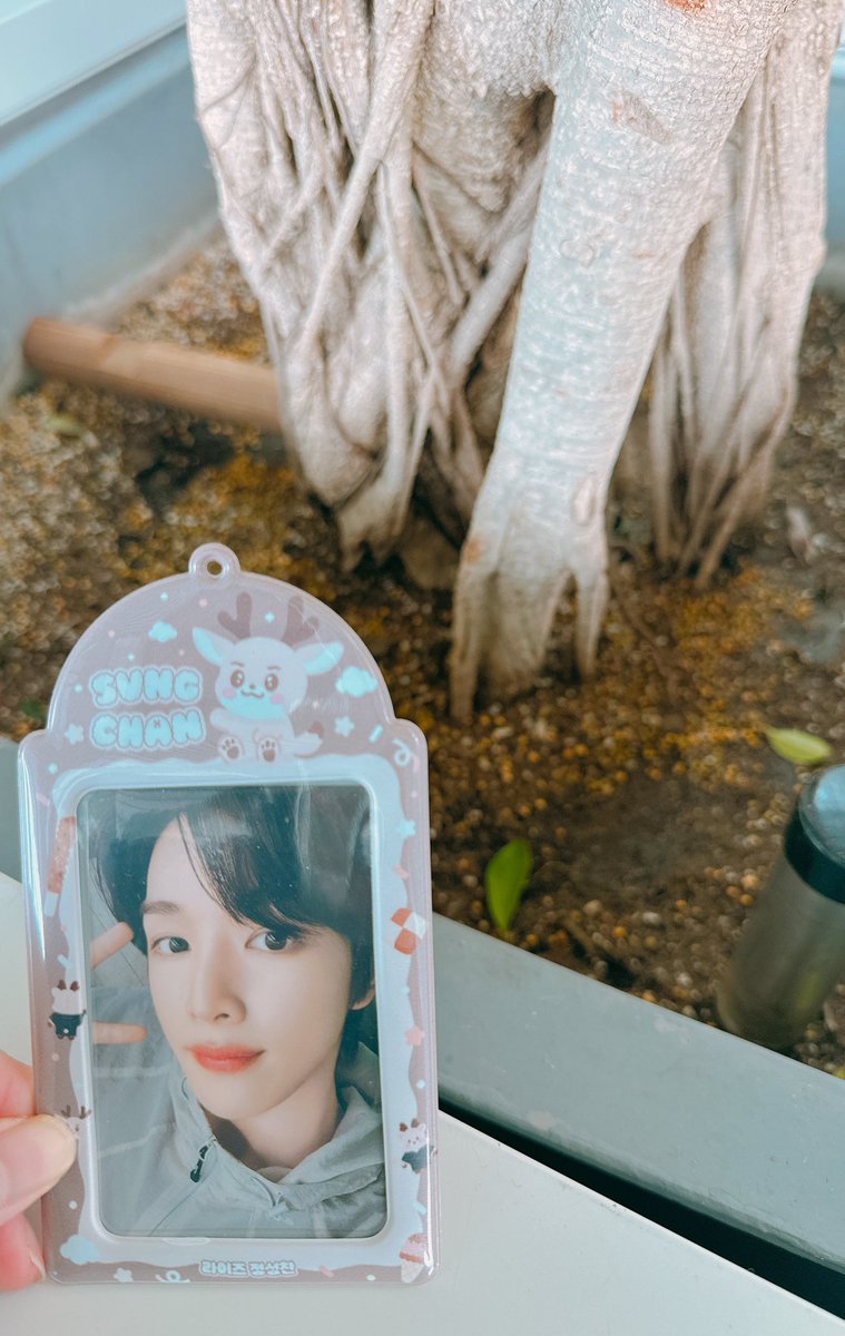 찬 tweet media
