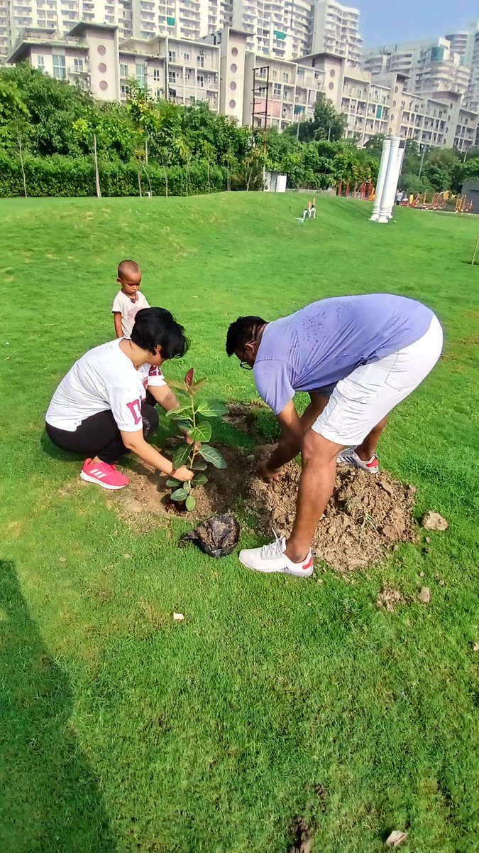 Rashmirparida's tweet photo. On the auspicious occasion of #RathaJatra planted three Banyan & one peepal plant at #VedVan Park, #Noida . https://t.co/4xJUq4snir