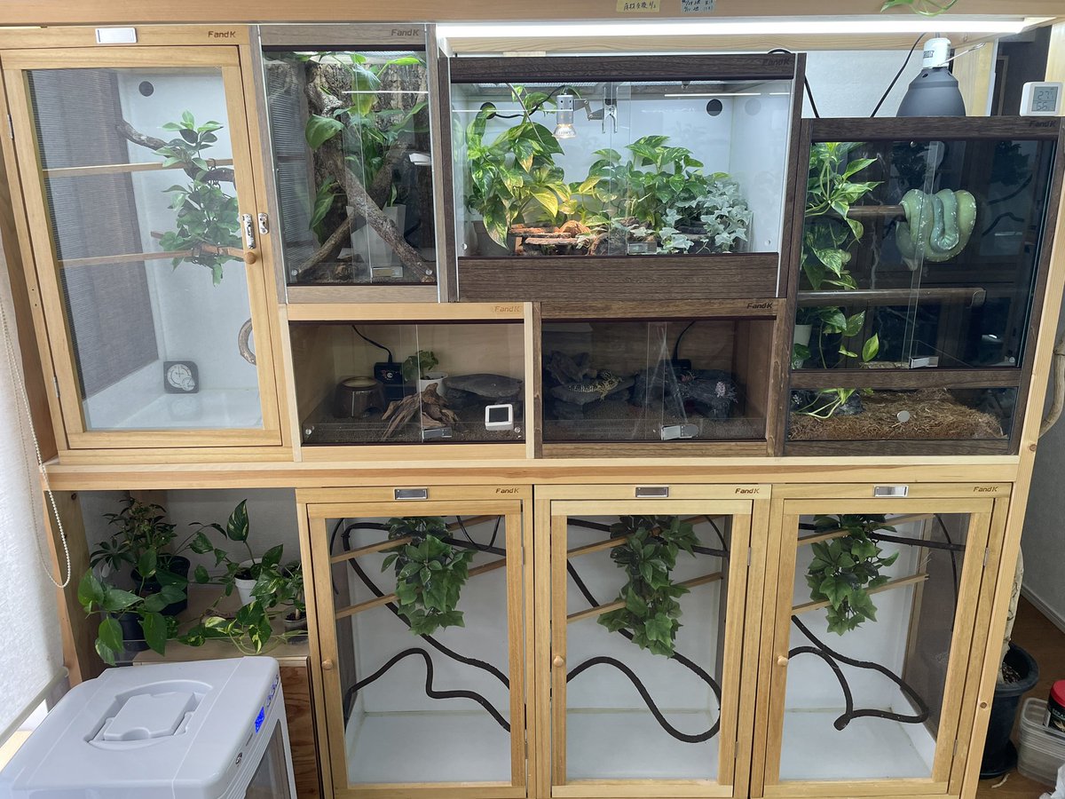 F and K 爬虫類ケージ ヨシ F and K 飼育ケージ 横約70cm 奥行き約