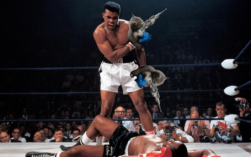 Sniper Cat tweet media