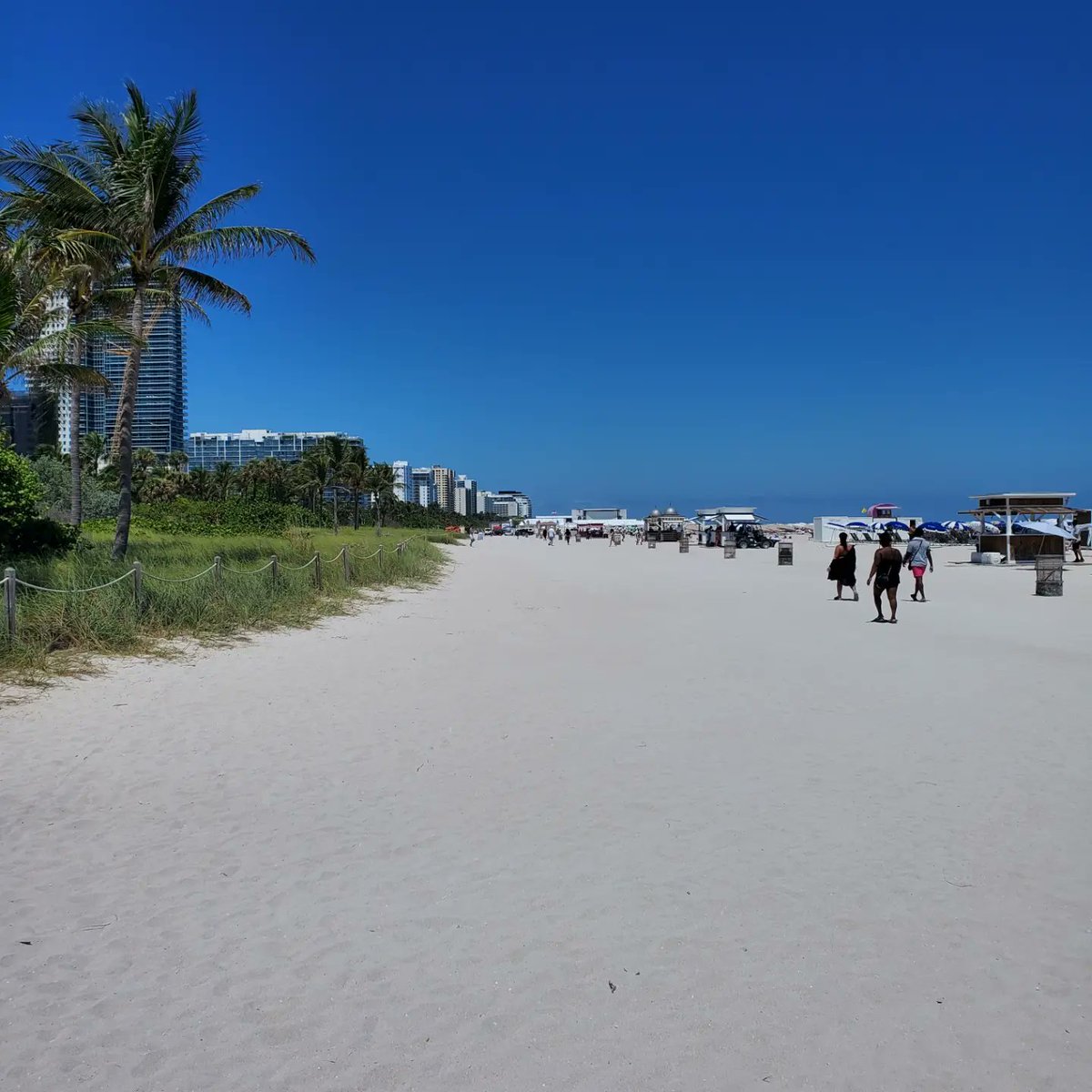 HeatherGrantMD's tweet photo. #Miami https://t.co/QgnSZc5AsL
